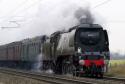 The Valentines White Rose Passing Cromwell