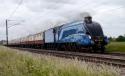 Bittern's 90mph Run.