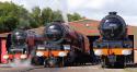 Three Stanier Pacifics At Midland Railway Centre, Taken From The Ash Pit....30/07/2016.