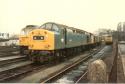 Ladywell Sidings, Preston. 11 Nov 1984