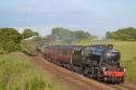 45181 On Its Return In The Evening Sunshine.