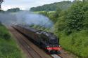 46115 Seen Here At Pleasington On The Morning Fellsman