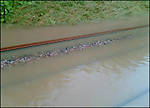 Flooded track between Chippenham & Swindon