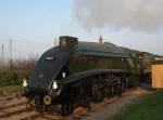60019, Bittern. Blue Anchor. 21.03.09