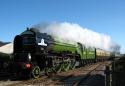 The Torbay Express. 26.09.10
