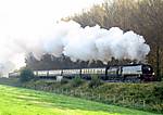 Tangmere, Beambridge. 28.09.08