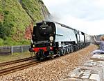 Torbay Express 2008