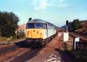 56005