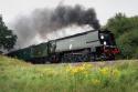 34067 Tangmere