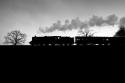 BR 5MT 73096