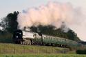 34007 Wadebridge - Bluebell Railway - 21.10.07