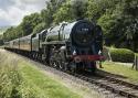 Oliver Cromwell Pulls The 15 Guinea Special