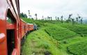 Scenic Hill Country - Hitachi express