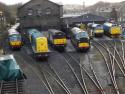 An Impressive Line Up