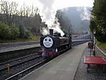 Llangollan's Pannier as Duck at Llangollan February 2003