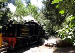 Roaring Camp Railway, near Santa Cruz, California.