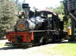 Roaring Camp Railway, near Santa Cruz, California.