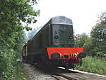 A Whistler in the Ecclesbourne Valley 16.7.2008