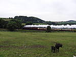 6201 Princess Elizabeth on the Scarborough Flyer, 21.7.2007.