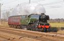 60103 Flying Scotsman