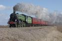 61306 Mayflower - The Cathedrals Express