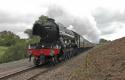 60103 Flying Scotsman