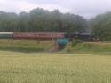 61994, Crownthorpe, Mid Norfolk Rly 28 06 14