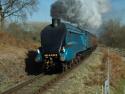 Bittern, Photo Charter At The Svr 26 03 12