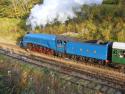 Bluebell Railway, Giants Of Steam 31 10 15