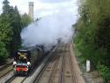 Tangmere Passes Shortlands With The Down Golden Arrow Statesman 26 04 14