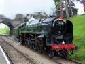 92214 At Cheltenham Racecourse.