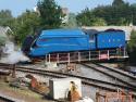 Taken At Churston.