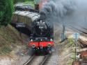 46100 'royal Scot' At Churston.