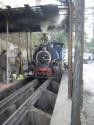 Darjeeling 2010