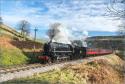 Big Jim Near Oakworth 2