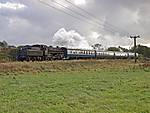 Class at seen at Burrs