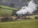 Double Header Shattering The Peaceapproaching Oakworth