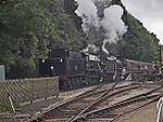 Leaving_Ingrow