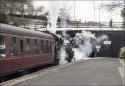 Steam T5o Spare At Ingrow