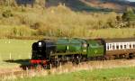 34046 Braunton.Nr Stogumber.28.03.09.