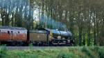 6024.King Edward 1.Nr Beambridge.20.9.09