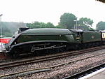 60019 Bittern .Yeovil Junction.01.06.08.