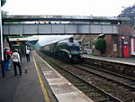 60019.Bittern.Sherborne.01.06.08.