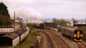 5043. Dawlish Warren. 28.4.2012.