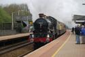 5043. Tiverton Parkway. 28.4.2012.