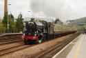 6024.king Edward 1.Totnes.1.5.2010.