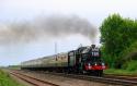 6024.king Edward 1.nr Yatton.30.5.2010.