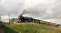 6024 King Edward 1 .Stonehouse.10.7.2010.