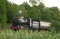 9351 Nr Minehead.WSRly.22.6.2011.