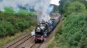 5029 & 4492. Hemerdon Bank. 17.9.2011.